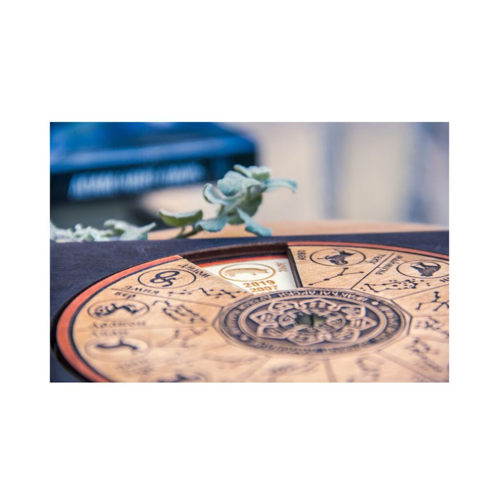 best astrologer